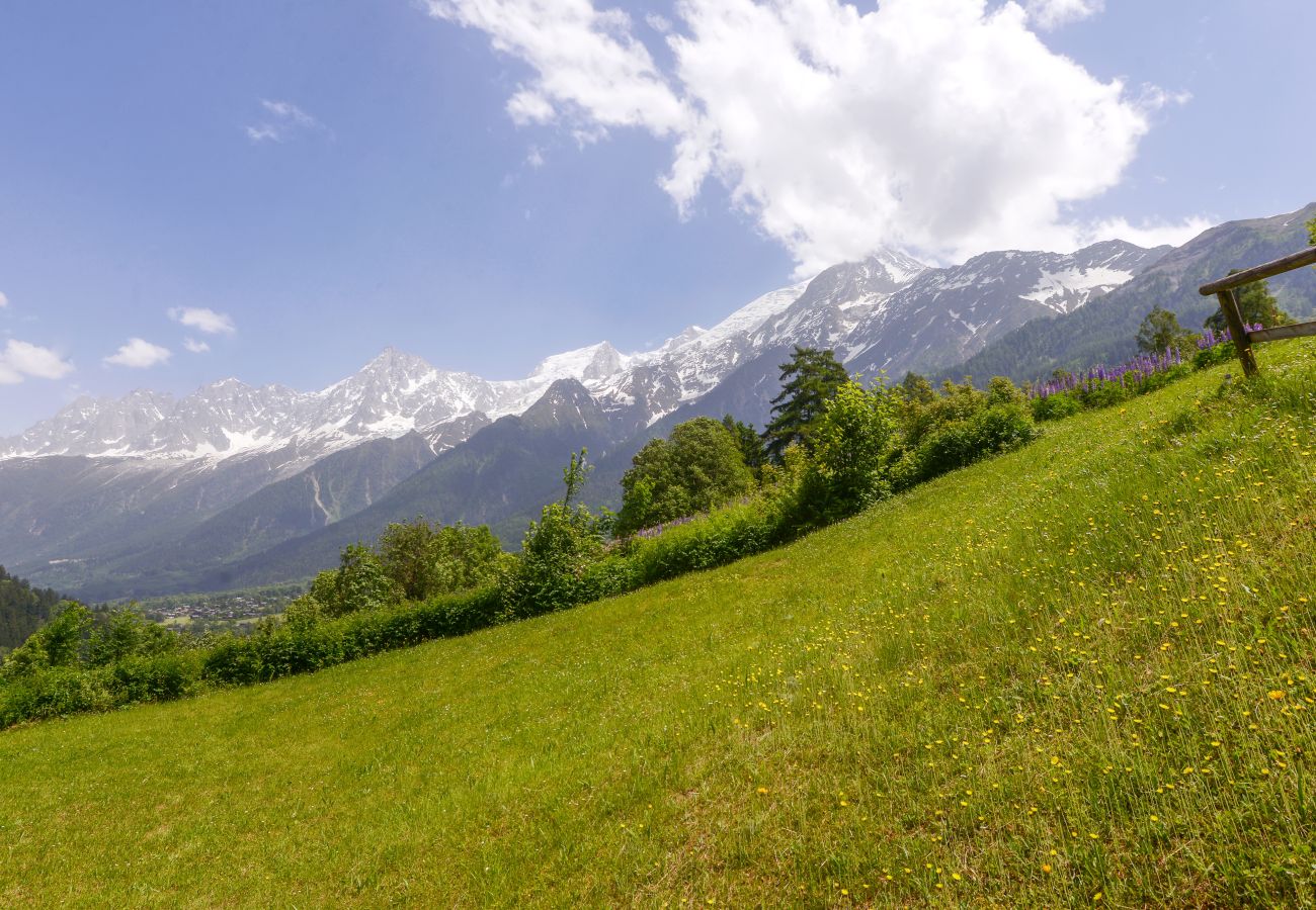 Appartement à Les Houches - Tête Rousse - Ski aux pieds - Piscine - Terrace
