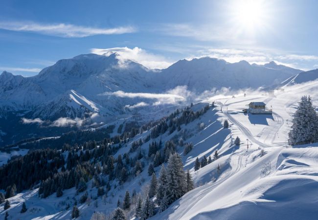 Chalet à Les Houches - Chalet de Nina