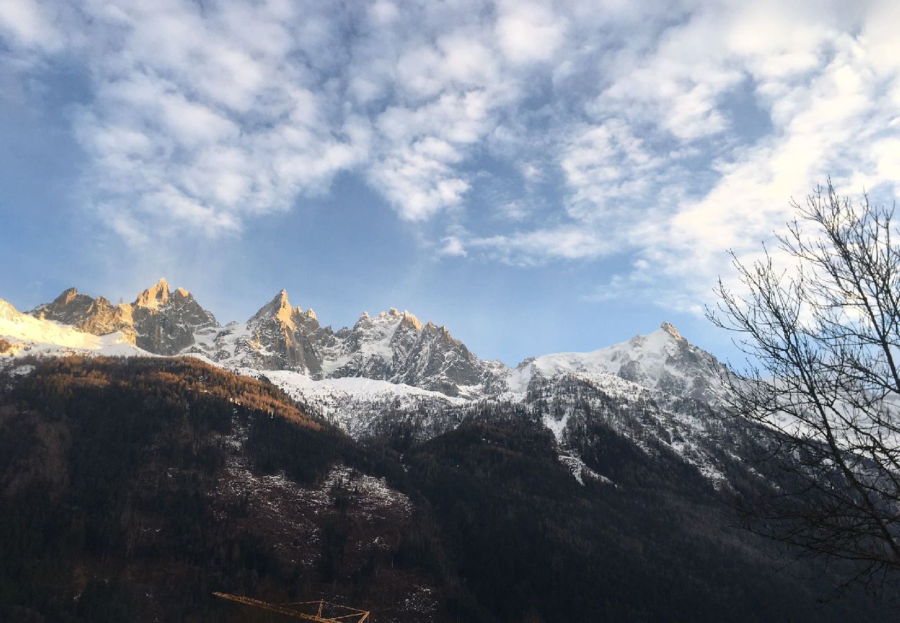 Chalet em Chamonix-Mont-Blanc - Clos des Vorgeats - Duplex Mt-Blanc View