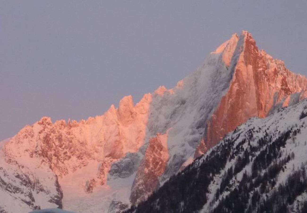 Apartamento em Chamonix-Mont-Blanc - Les Aiguilles du Brevent - Ski aux pieds - Terrass